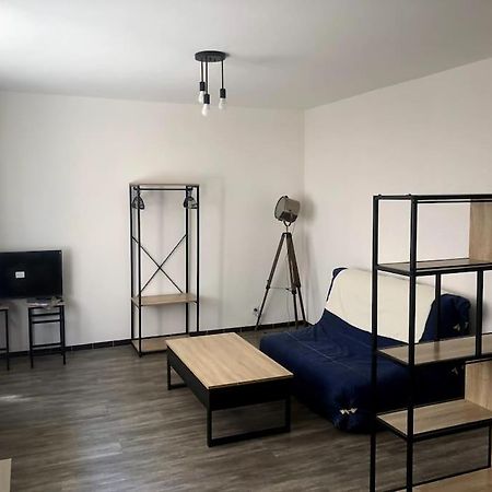 Studio Cosy Renove Climatise 阿莱斯 外观 照片