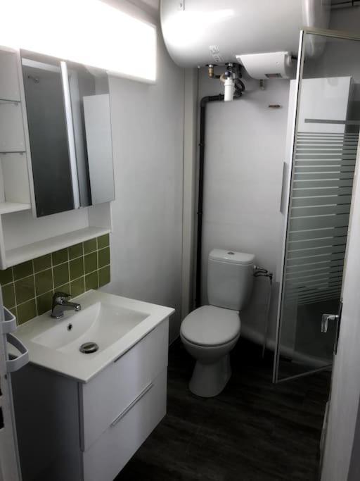 Studio Cosy Renove Climatise 阿莱斯 外观 照片