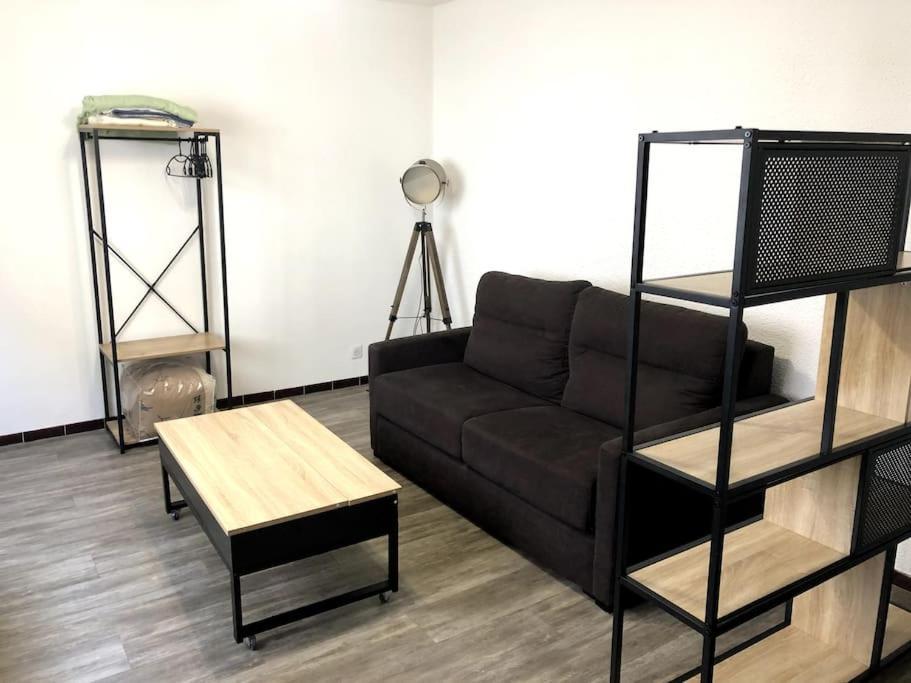 Studio Cosy Renove Climatise 阿莱斯 外观 照片
